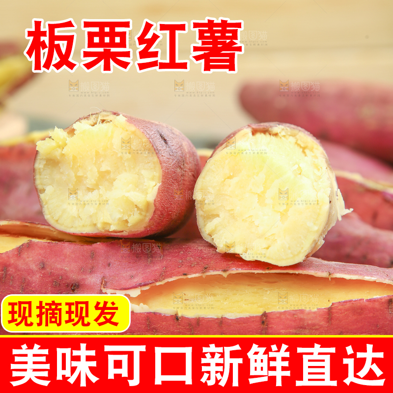 板栗薯