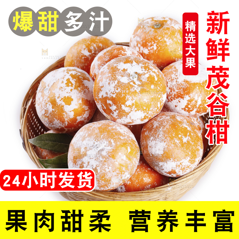 一篮广西茂谷柑