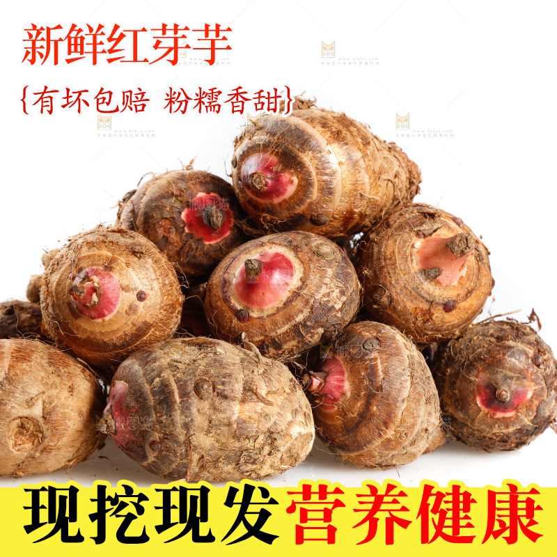 一堆新鲜红芽芋头