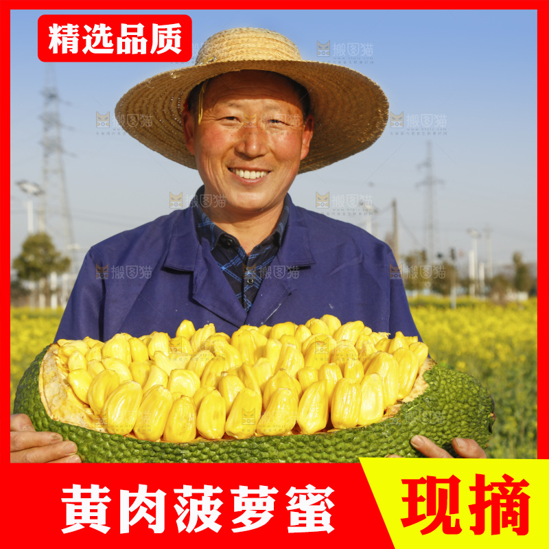 手里抱着黄心菠萝蜜