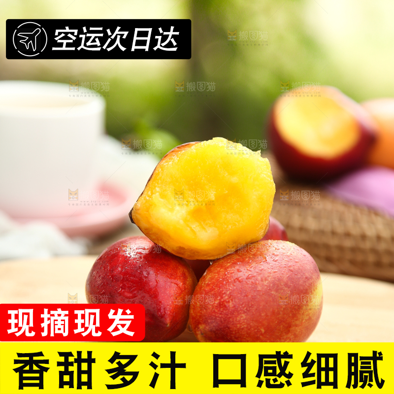木底上的澳洲桃驳李