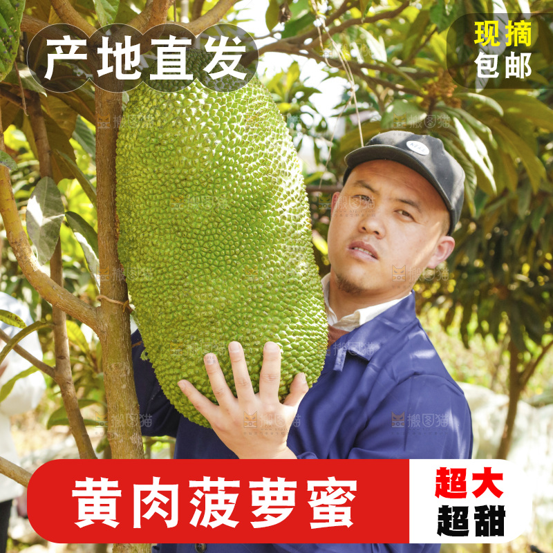 手里抱着海南菠萝蜜
