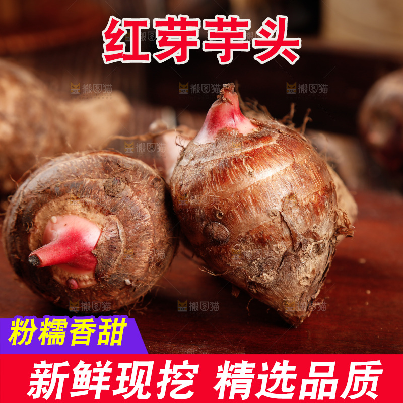 木板上放着广西红芽芋