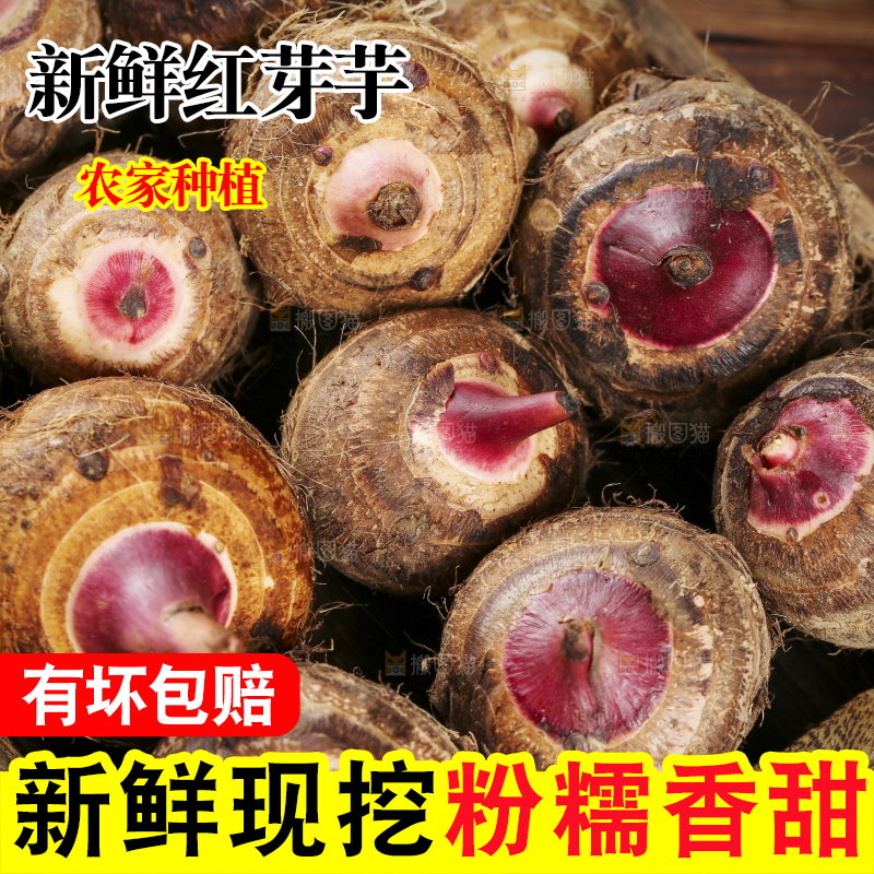 一盘广西红芽芋