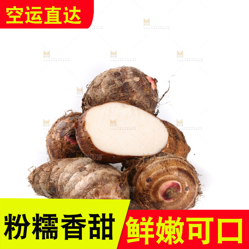 白底上的广西红芽芋