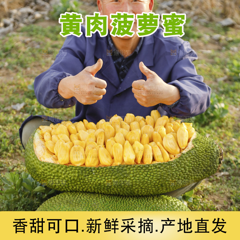 新鲜黄肉菠萝蜜
