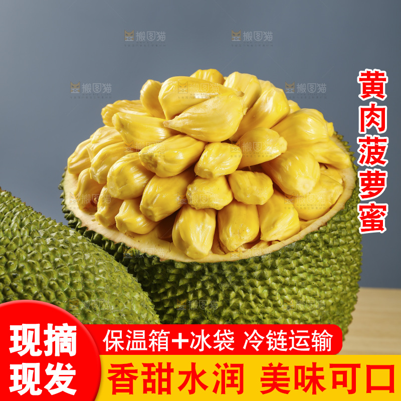 新鲜的黄肉菠萝蜜