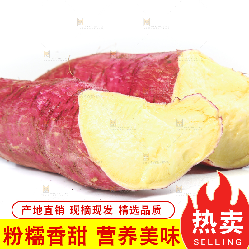 白底上的黄心板栗薯