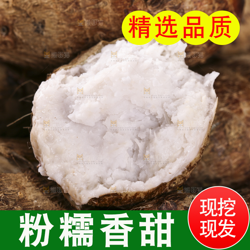 一笼蒸熟的红芽芋头