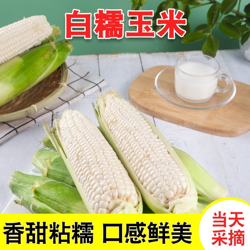 一堆白糯玉米棒