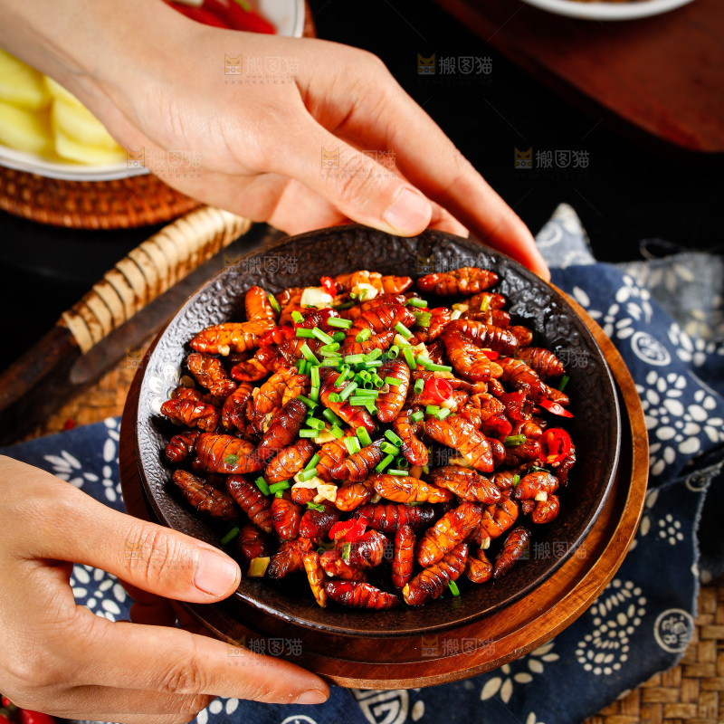 一盘干煸蚕蛹