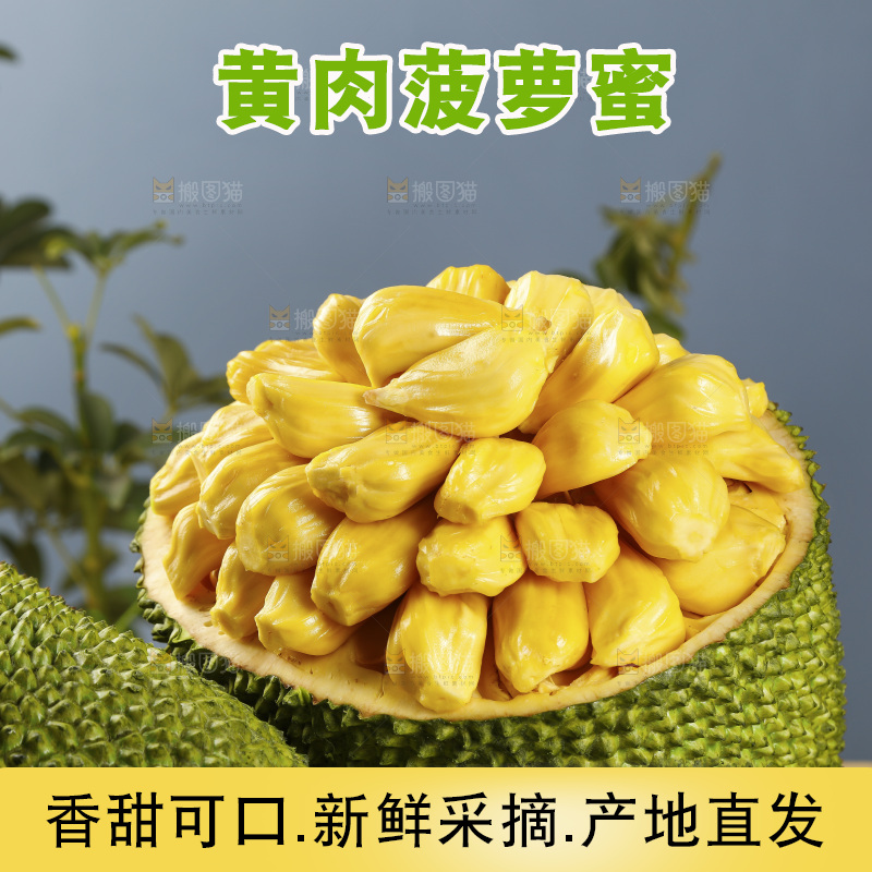 新鲜的黄肉菠萝蜜