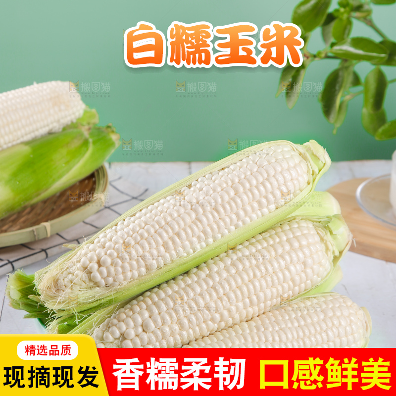 一盘东北白糯玉米