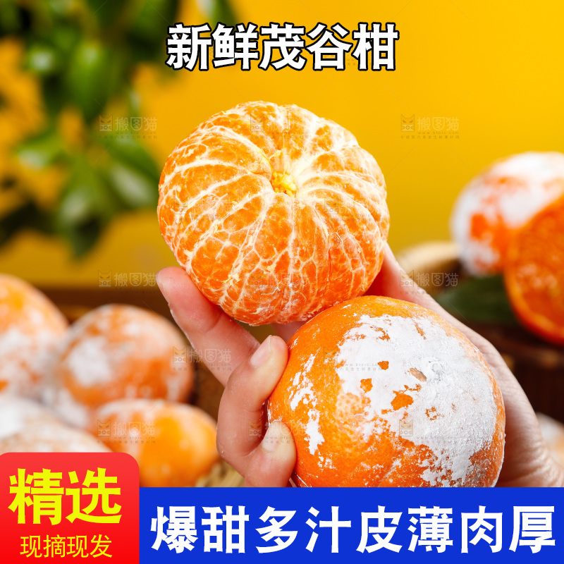手里拿着茂谷柑