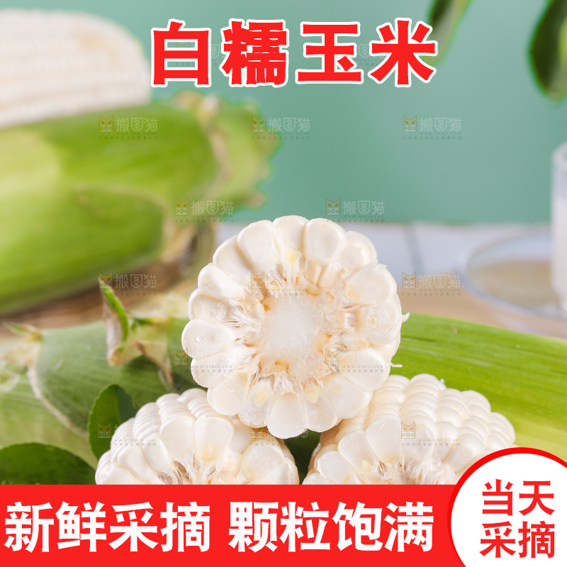 新鲜的白糯玉米