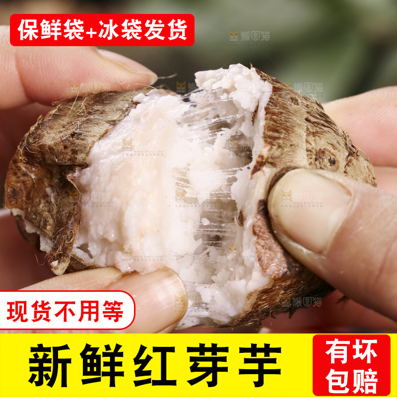 手里拿着熟的红芽芋