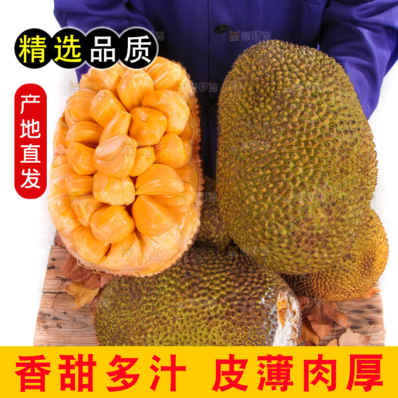 农民手里抱着菠萝蜜