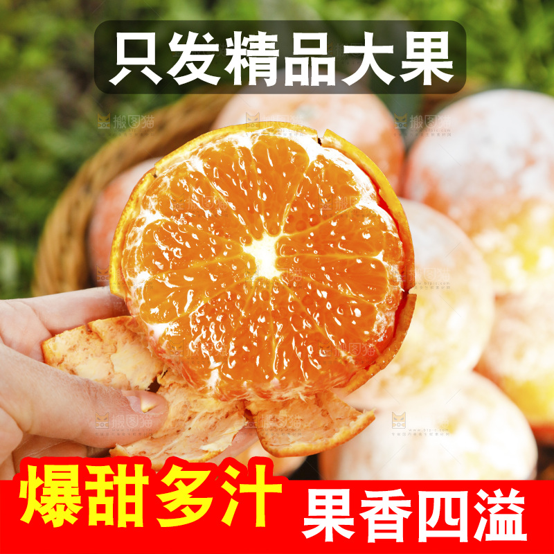 手里拿着茂谷柑
