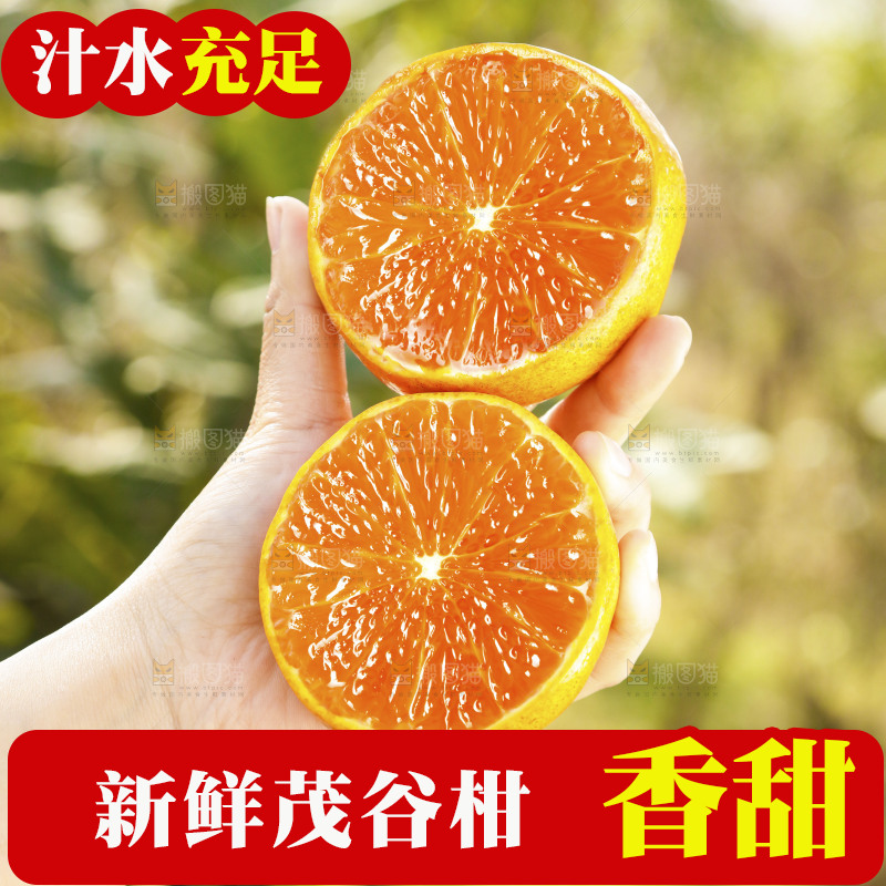 手里拿着切面的茂谷柑