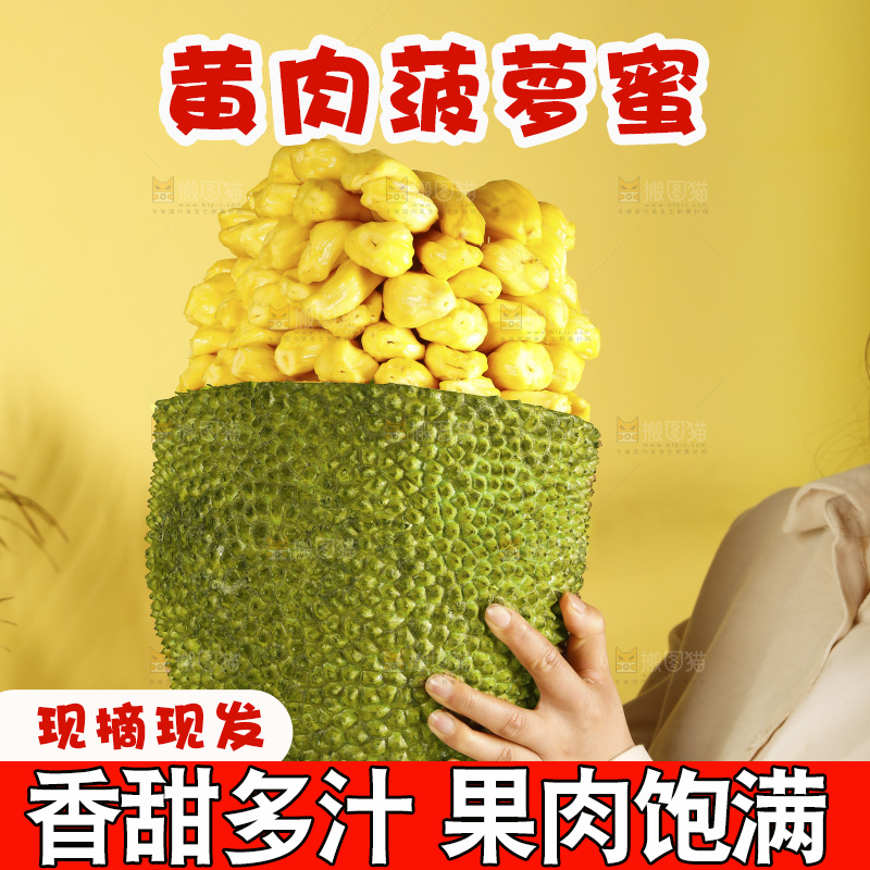 手里抱着海南黄肉菠萝蜜