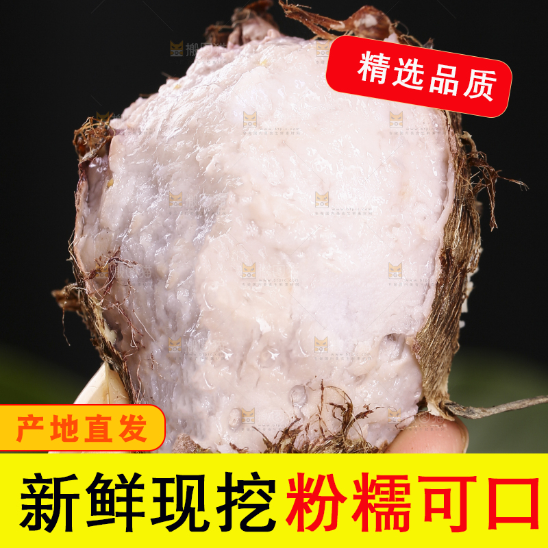 手里拿着熟的红芽芋