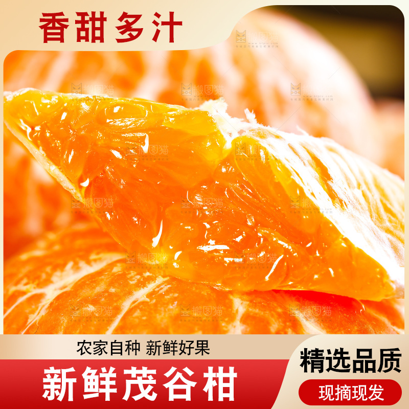 新鲜茂谷柑果肉