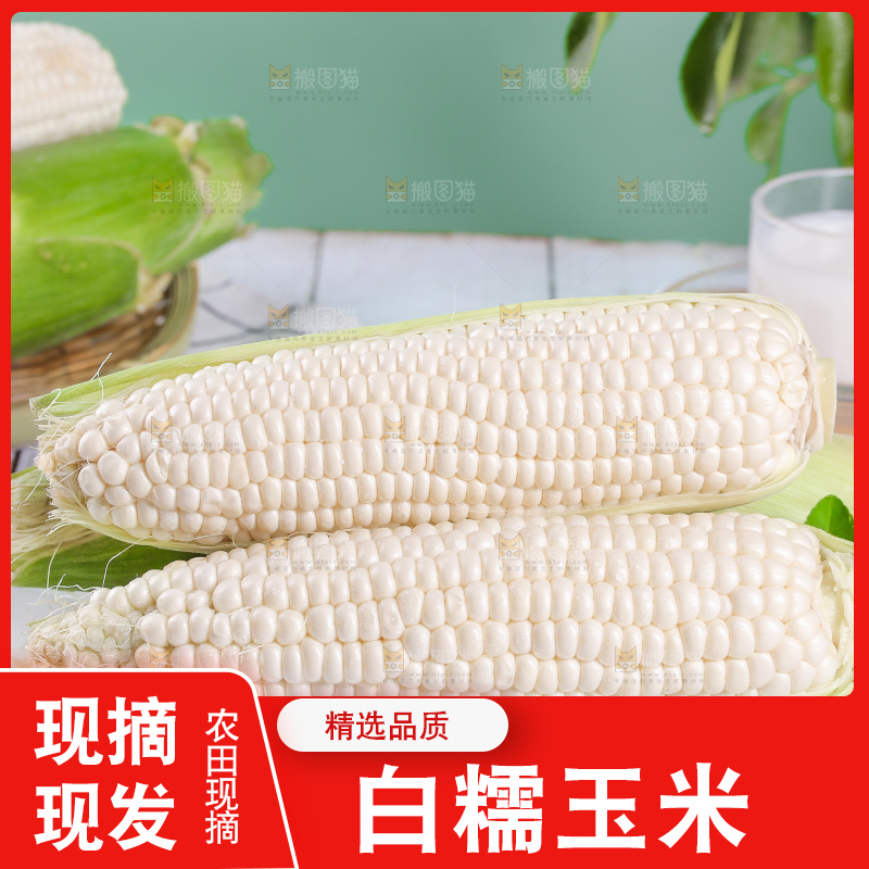 一堆白糯玉米棒