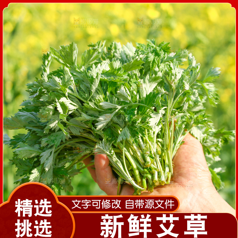 手里拿着野生艾叶