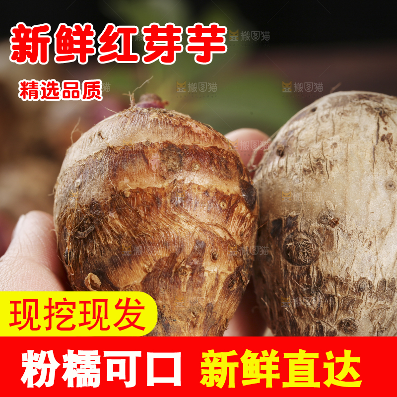 手里拿着小芋头