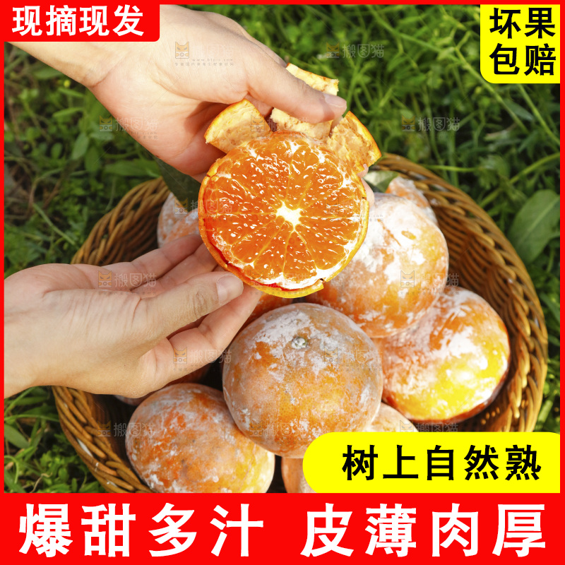 一篮新鲜茂谷柑