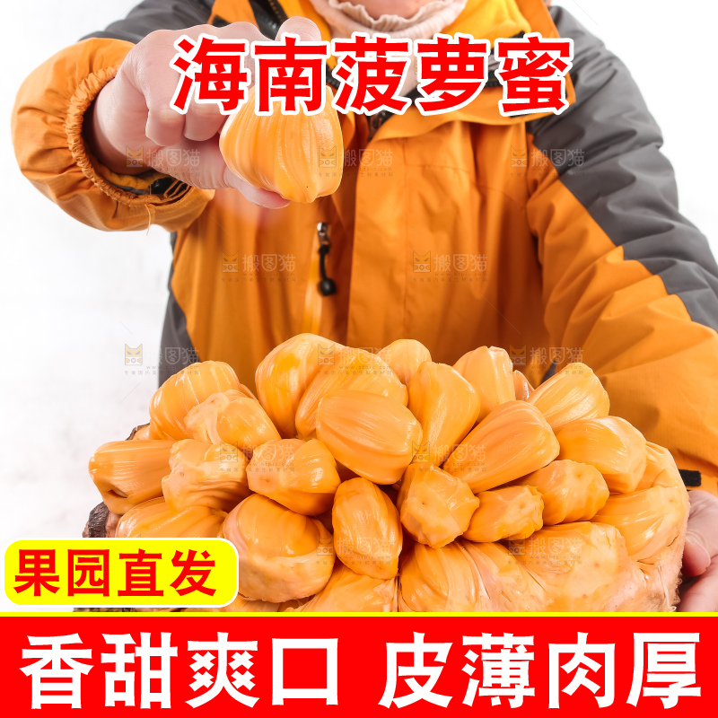 手里拿着红肉菠萝蜜果肉