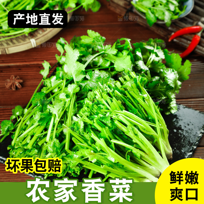 一堆四季香菜