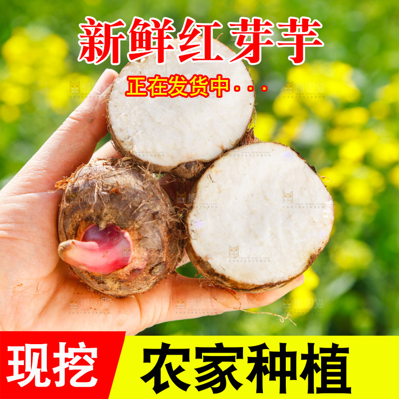 手里拿着切开的芋头