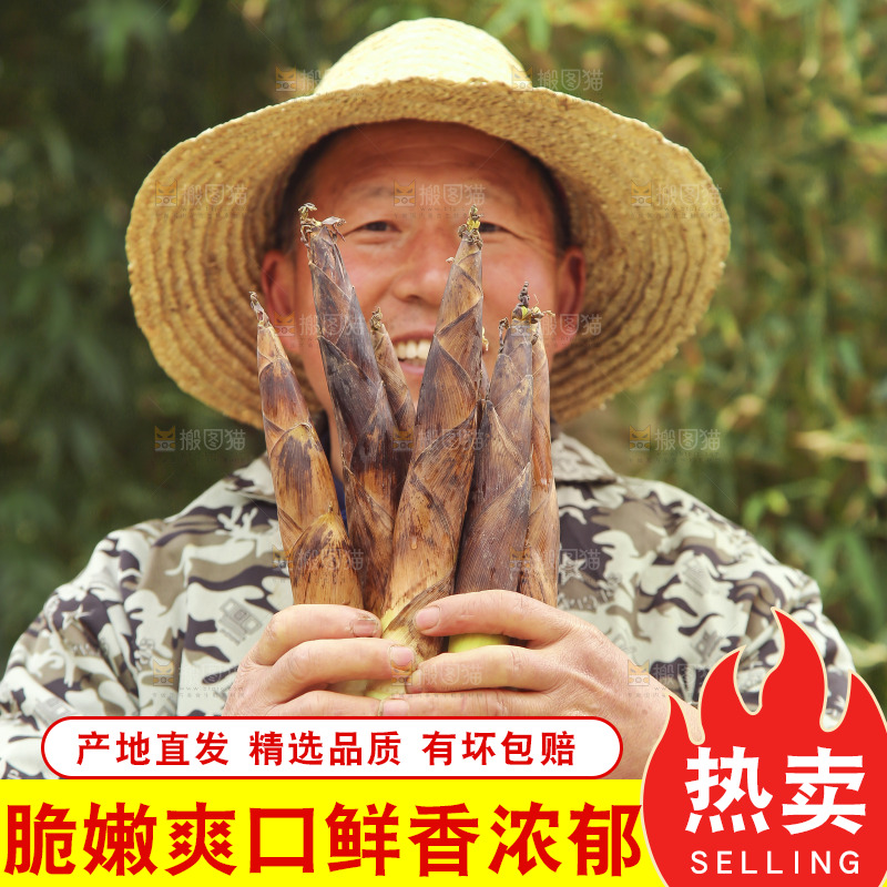 手里拿着春笋