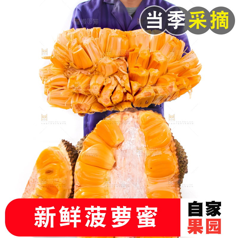 手里捧着红肉菠萝蜜