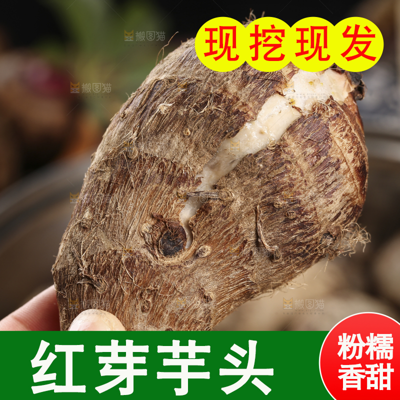 手里拿着蒸熟的小芋头