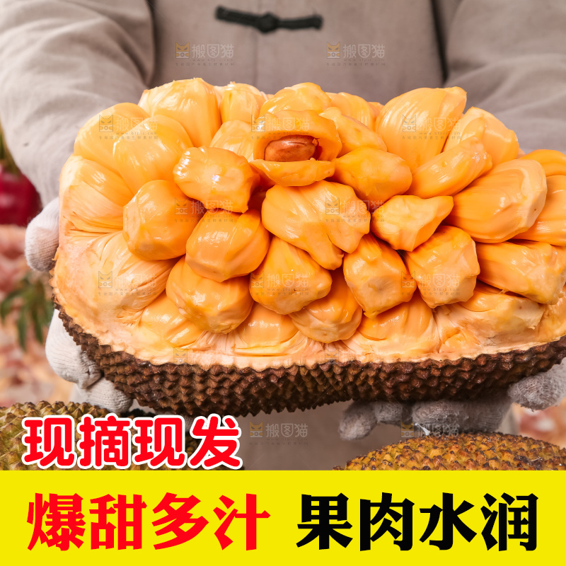 手里捧着红肉菠萝蜜