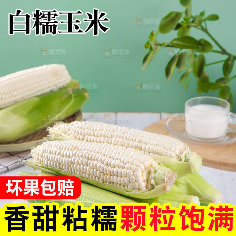 一堆白糯玉米棒