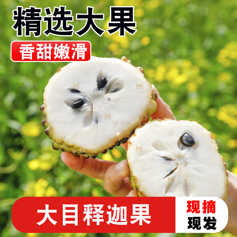 切开的牛奶释迦果
