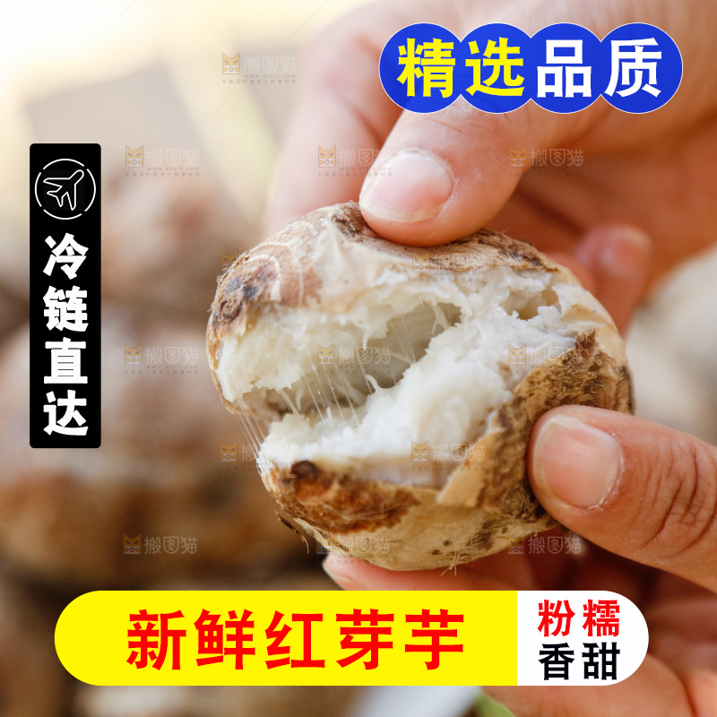 手里拿着小芋头