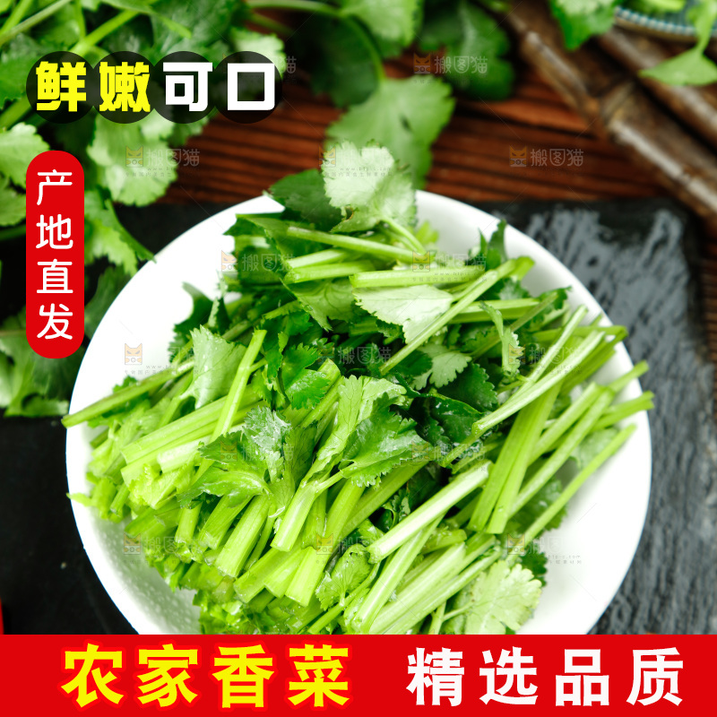 一盘香菜