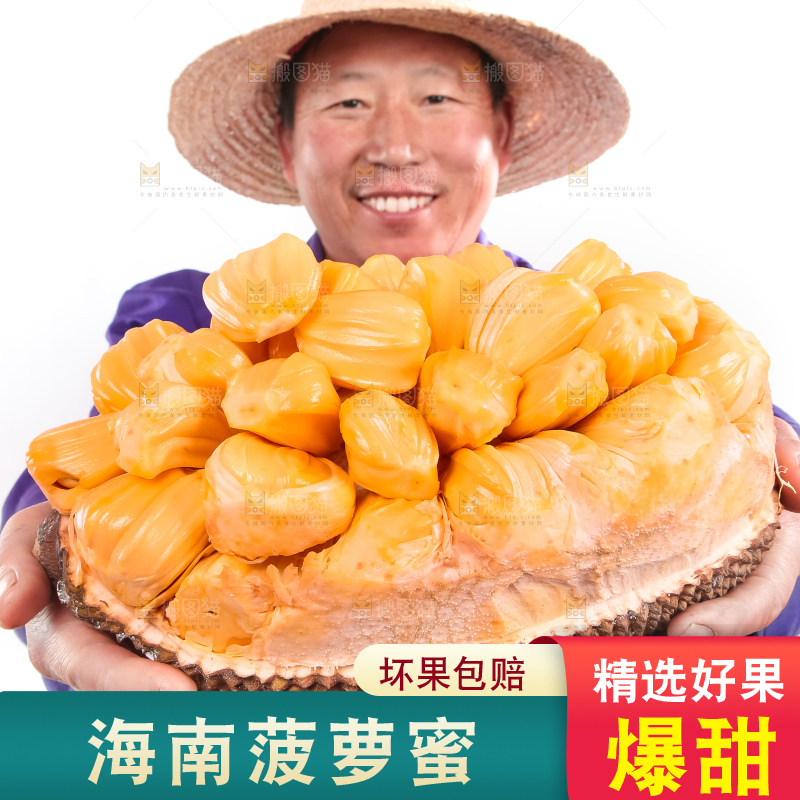 农民手里捧着红肉菠萝蜜