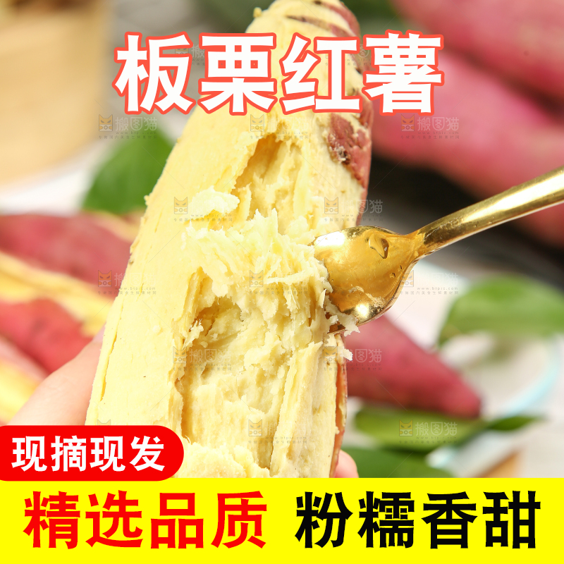 手里拿着黄心板栗薯