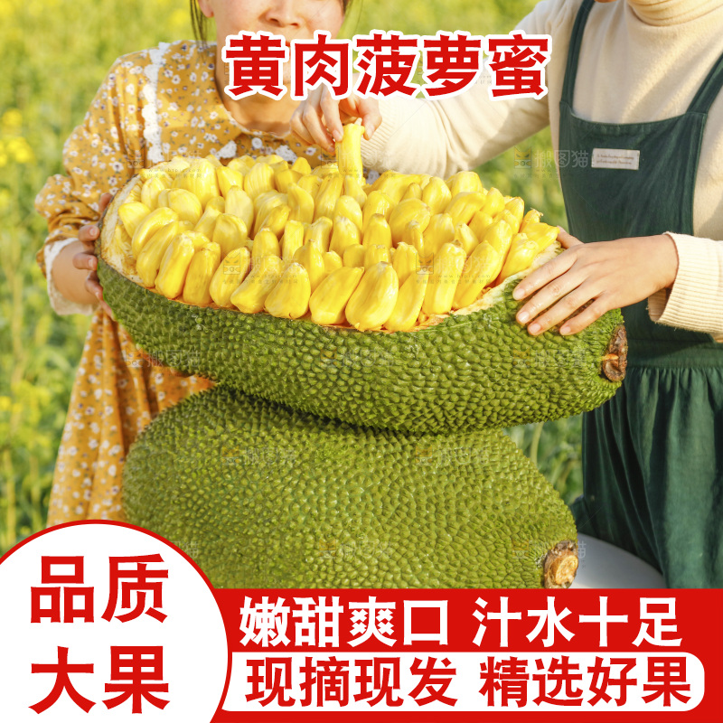 桌子上放着黄肉菠萝蜜