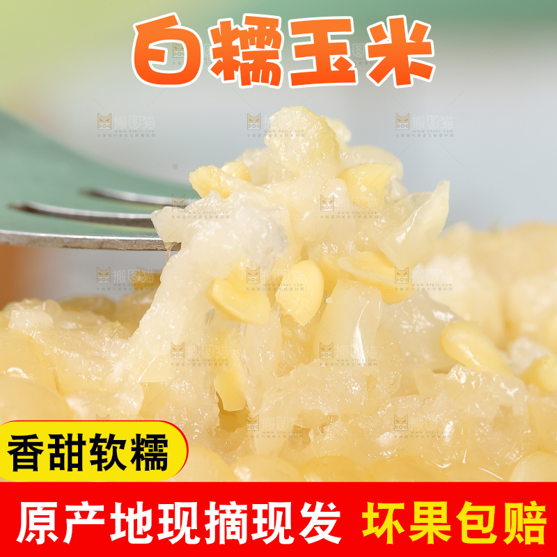 新鲜的甜糯玉米