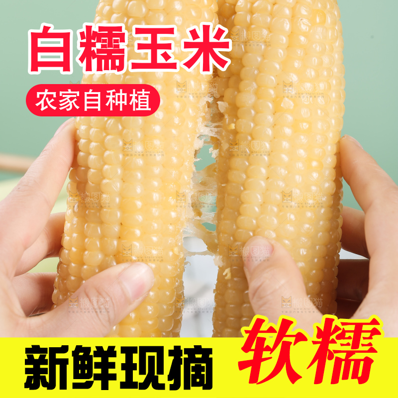 手里拿着白糯玉米