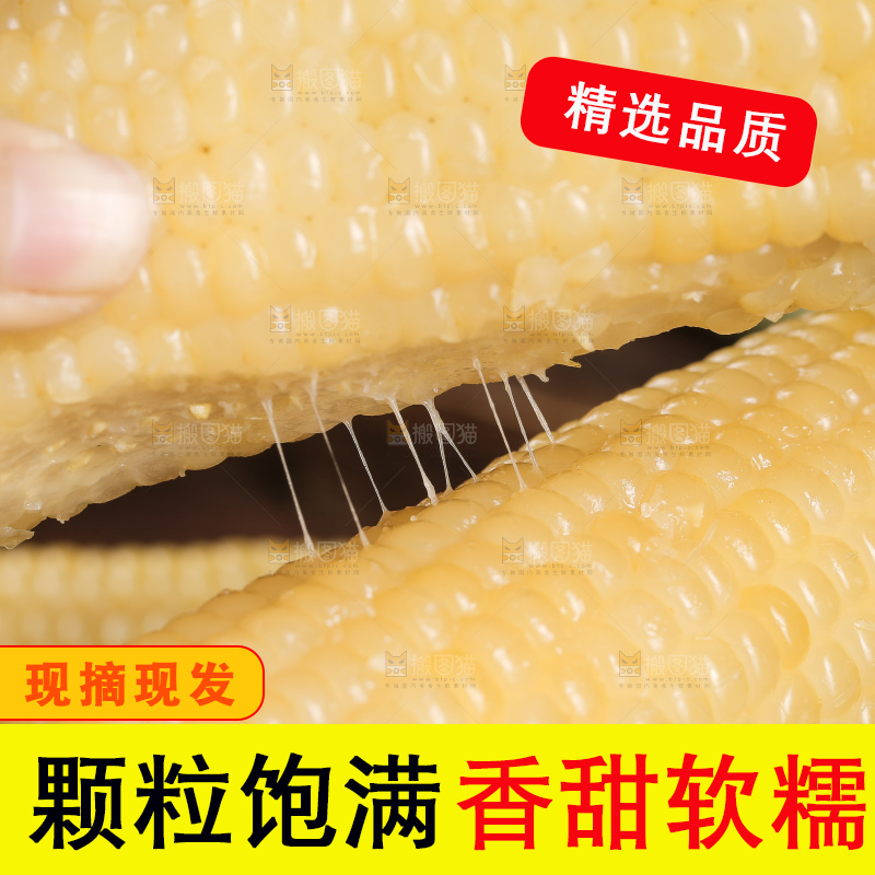 手里拿着甜糯玉米