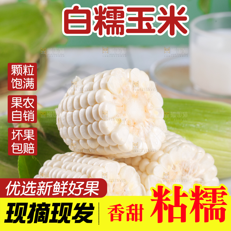 新鲜的白糯玉米