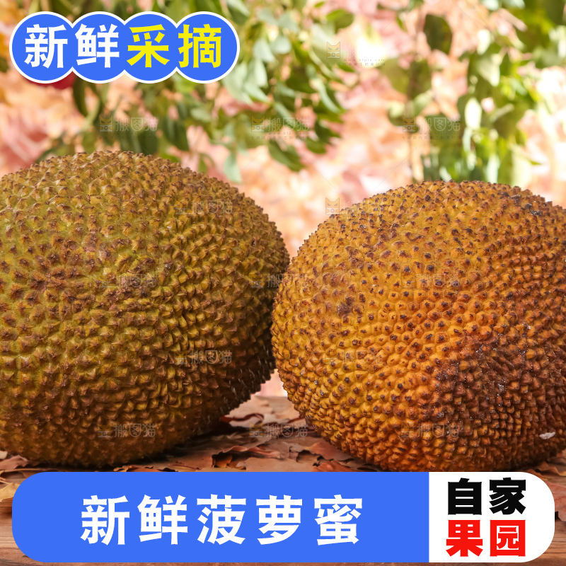 两个大菠萝蜜