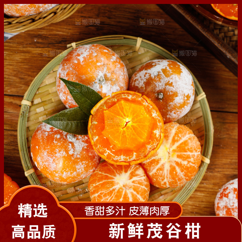一篮广西茂谷柑